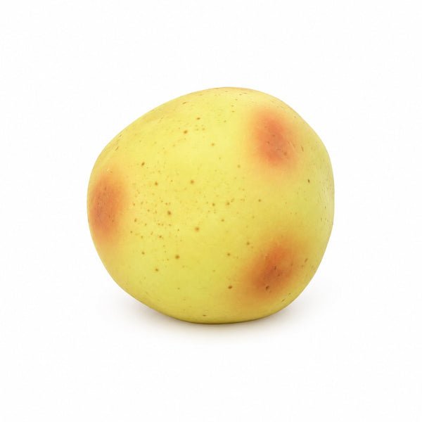 Potato Vaseline Squishy van Boozyshop, rekbare jelly squishy
