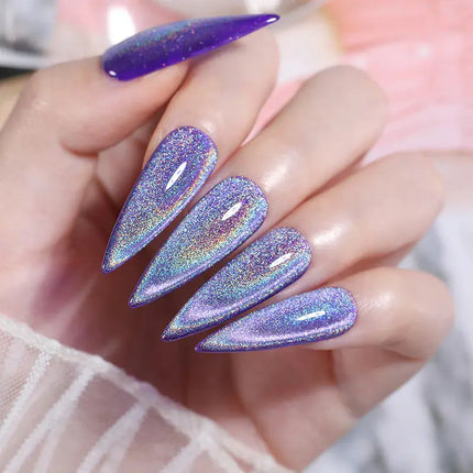 Born Pretty Rainbow Holographic Cat Magnetic Gel MY110