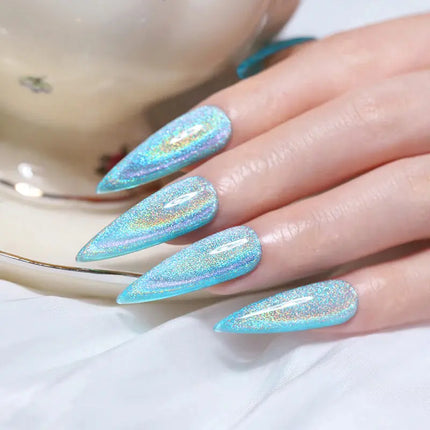 Born Pretty Rainbow Holographic Cat Magnetic Gel MY110
