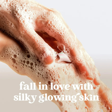 Dove Holiday Treats Liquid Hand Wash Spiced Chai Latte