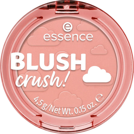 Essence Blush Crush! 110 Peachy Promise
