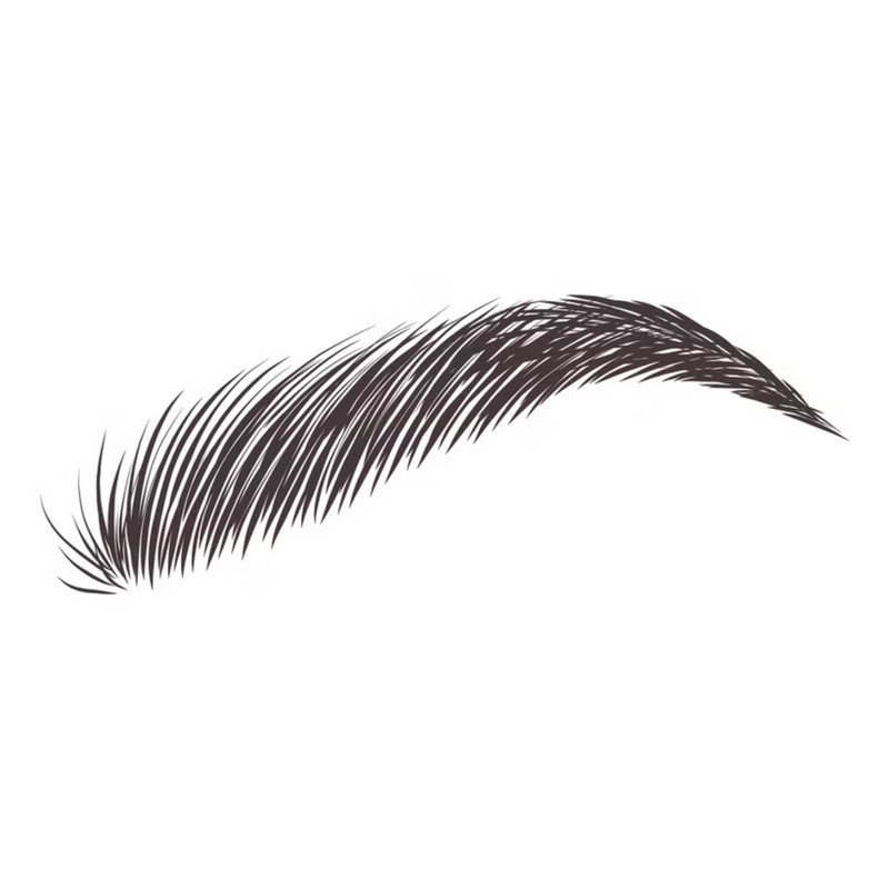 Eylure Dybrow Black