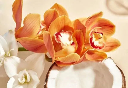 Haan Body Lotion Wild Orchid