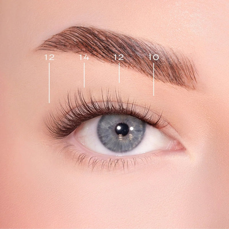 Lola's Lashes Soft Definition Brown Pre Glued Lashes Set, voorgelijmde wimperclusters in donkerbruin met applicator