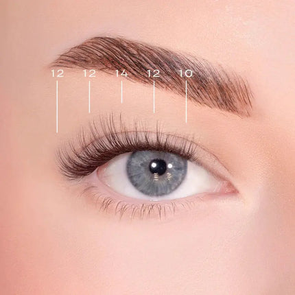 Lola's Lashes Soft Wisp Dark Brown Pre-Glued Lashes