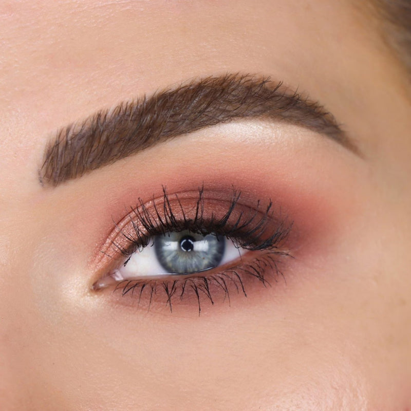 TheBalm Eyeshadow Palette Male Order "domestic", oogschaduw palette met meerdere tinten