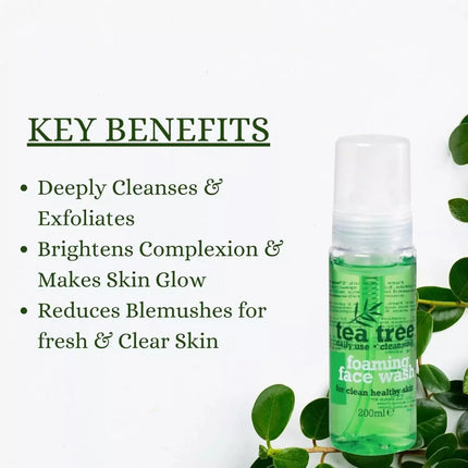 XBC Tea Tree Foaming Face Wash