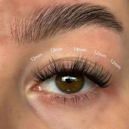 Lola's Lashes Fluffy Russian DIY Lash Extension Set